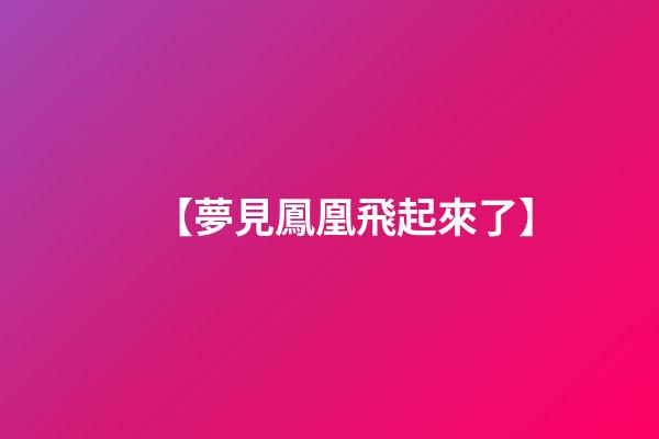 【夢見鳳凰飛起來了】