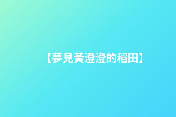 【夢見黃澄澄的稻田】