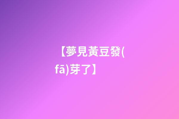 【夢見黃豆發(fā)芽了】