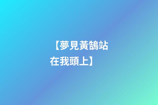 【夢見黃鵠站在我頭上】
