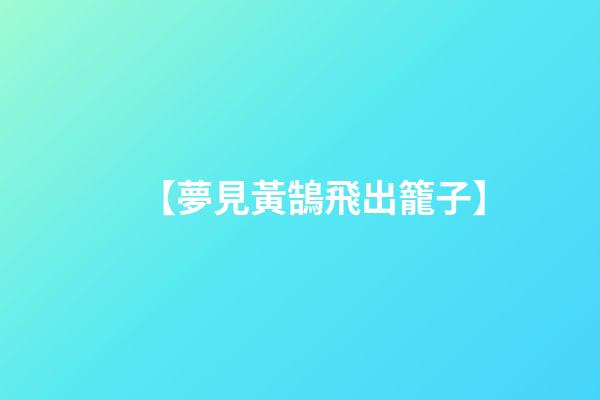 【夢見黃鵠飛出籠子】