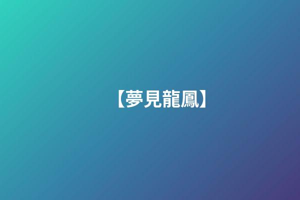 【夢見龍鳳】