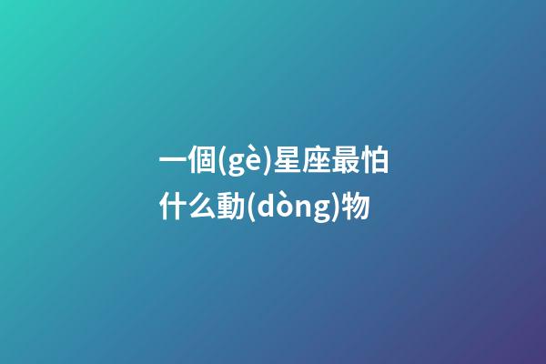 一個(gè)星座最怕什么動(dòng)物-第1張-星座運(yùn)勢(shì)-玄機(jī)派