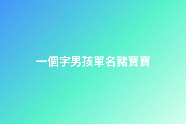 一個字男孩單名豬寶寶