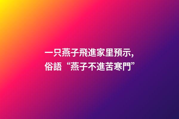 一只燕子飛進家里預示,俗語“燕子不進苦寒門”-第1張-觀點-玄機派