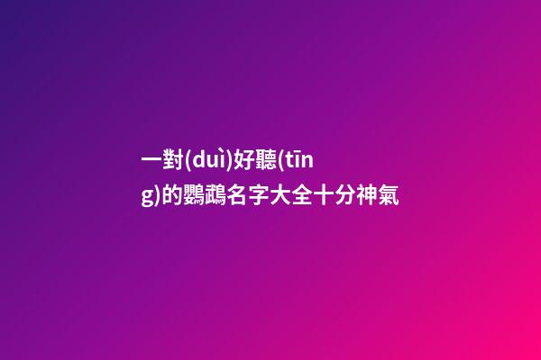 一對(duì)好聽(tīng)的鸚鵡名字大全十分神氣