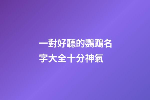 一對好聽的鸚鵡名字大全十分神氣