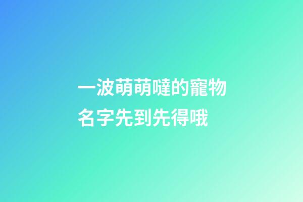 一波萌萌噠的寵物名字先到先得哦