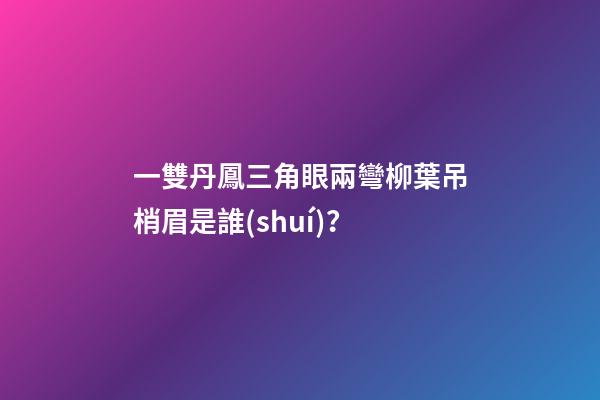 一雙丹鳳三角眼兩彎柳葉吊梢眉是誰(shuí)？