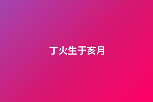 丁火生于亥月
