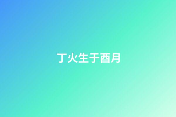 丁火生于酉月