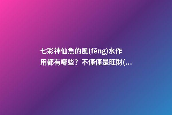 七彩神仙魚的風(fēng)水作用都有哪些？不僅僅是旺財(cái)