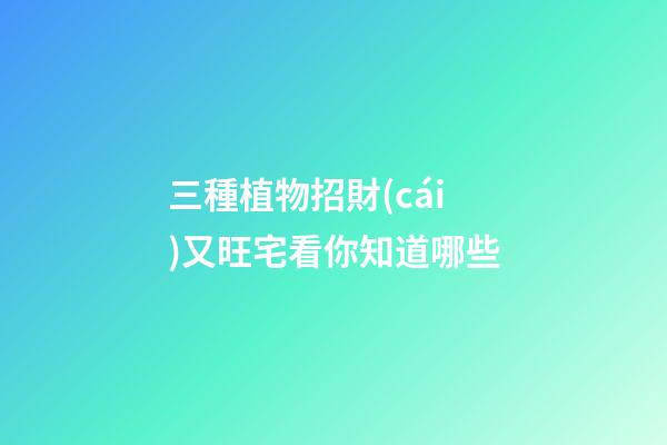 三種植物招財(cái)又旺宅看你知道哪些