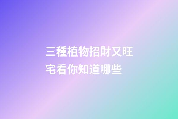 三種植物招財又旺宅看你知道哪些