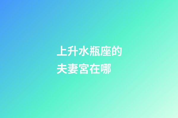 上升水瓶座的夫妻宮在哪-第1張-星座運勢-玄機派