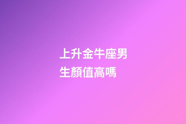 上升金牛座男生顏值高嗎-第1張-星座運勢-玄機派
