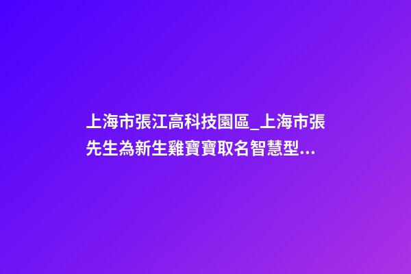 上海市張江高科技園區_上海市張先生為新生雞寶寶取名智慧型套餐-第1張-公司起名-玄機派