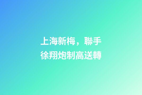 上海新梅，聯手徐翔炮制高送轉-第1張-觀點-玄機派