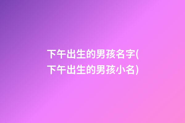下午出生的男孩名字(下午出生的男孩小名)