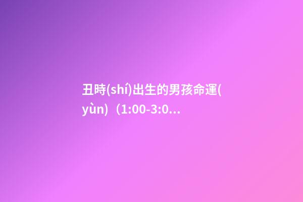 丑時(shí)出生的男孩命運(yùn)（1:00-3:00）