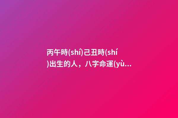 丙午時(shí)己丑時(shí)出生的人，八字命運(yùn)如何？