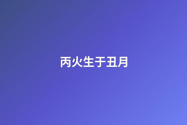丙火生于丑月