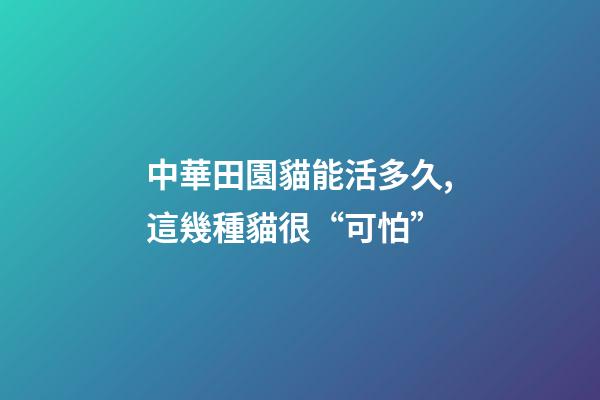 中華田園貓能活多久,這幾種貓很“可怕”-第1張-觀點-玄機派