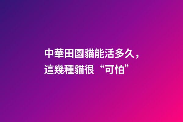 中華田園貓能活多久，這幾種貓很“可怕”-第1張-觀點-玄機派
