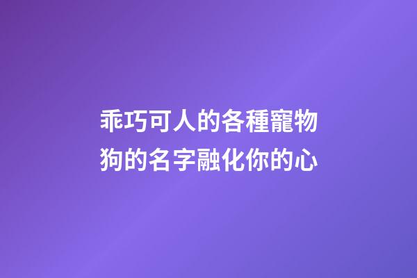 乖巧可人的各種寵物狗的名字融化你的心