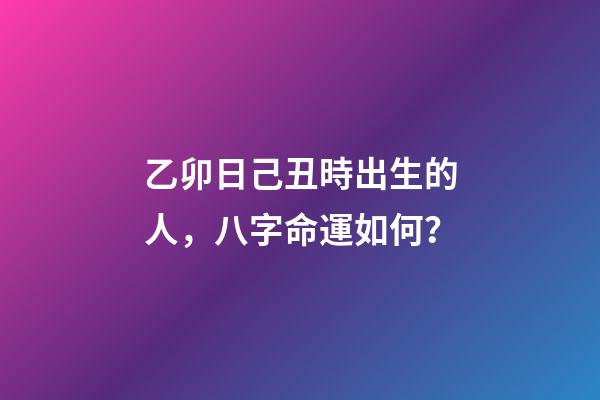 乙卯日己丑時出生的人，八字命運如何？