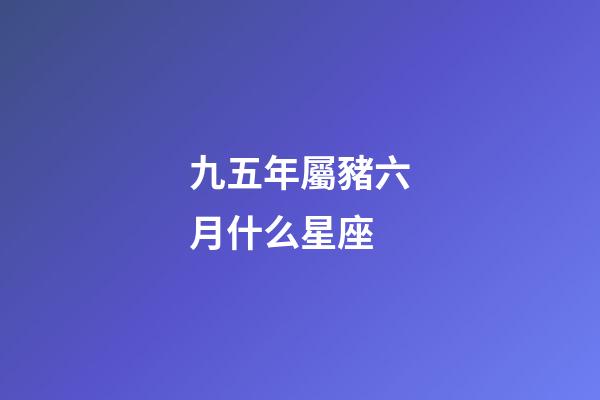 九五年屬豬六月什么星座-第1張-星座運勢-玄機派