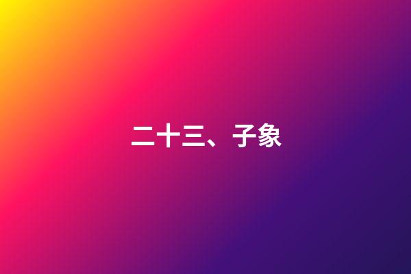 二十三、子象