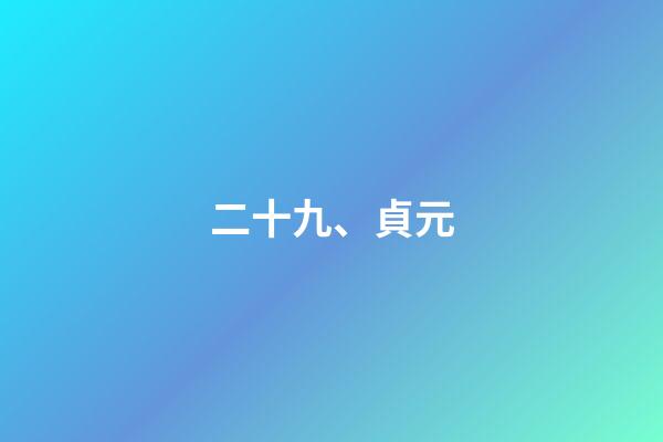 二十九、貞元