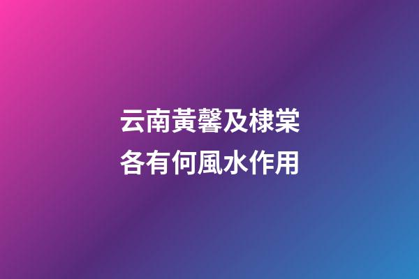 云南黃馨及棣棠各有何風水作用?