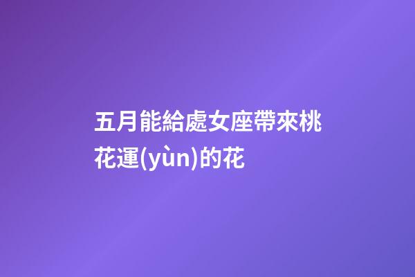 五月能給處女座帶來桃花運(yùn)的花-第1張-星座運(yùn)勢-玄機(jī)派