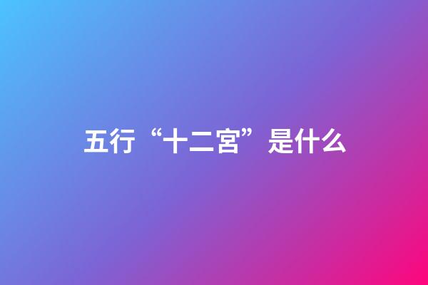 五行“十二宮”是什么?