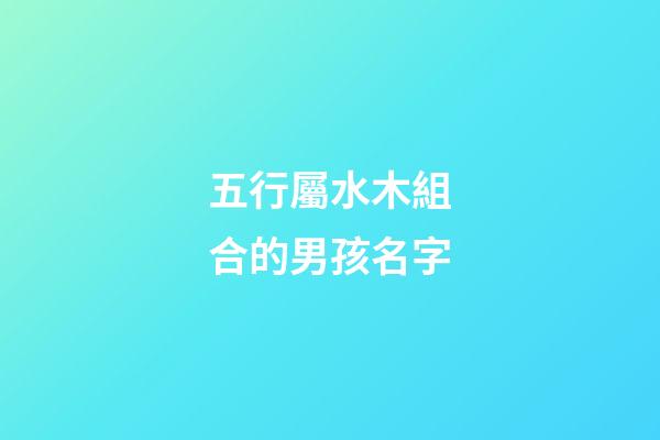 五行屬水木組合的男孩名字(五行屬水屬木的字男孩用名組合)-第1張-男孩起名-玄機派