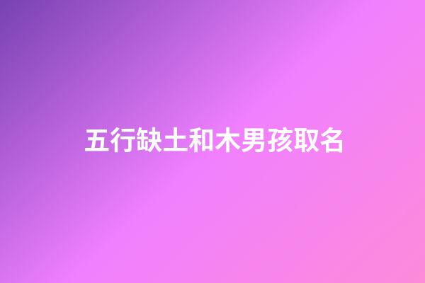 五行缺土和木男孩取名(五行缺土和木男孩的乳名的字)-第1張-男孩起名-玄機派