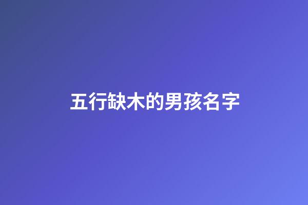 五行缺木的男孩名字