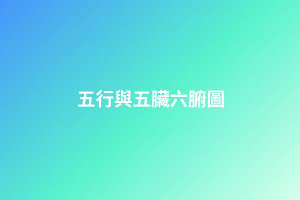 五行與五臟六腑圖