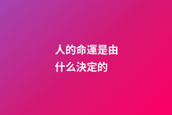 人的命運是由什么決定的