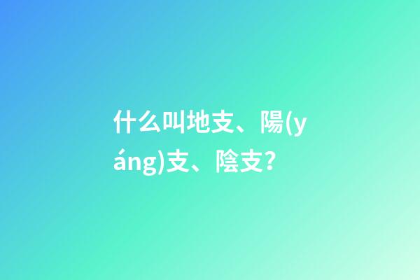 什么叫地支、陽(yáng)支、陰支？