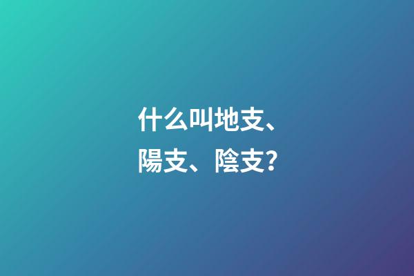 什么叫地支、陽支、陰支？