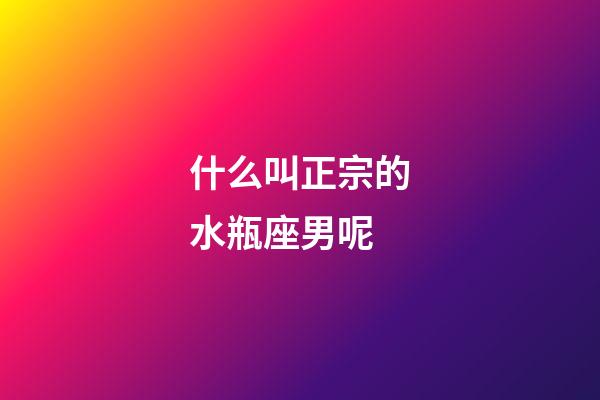 什么叫正宗的水瓶座男呢-第1張-星座運(yùn)勢-玄機(jī)派