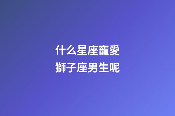 什么星座寵愛獅子座男生呢-第1張-星座運勢-玄機派
