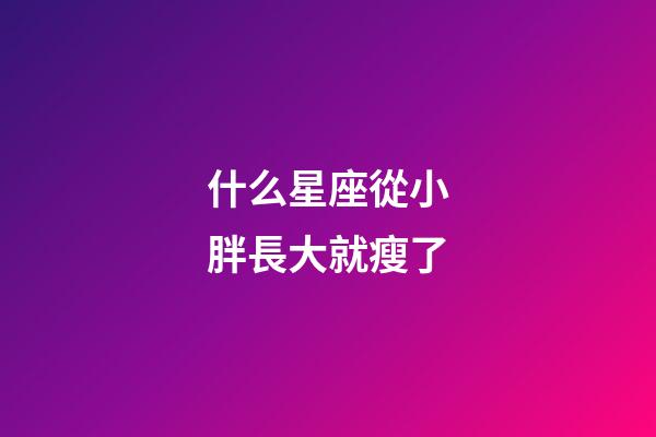 什么星座從小胖長大就瘦了-第1張-星座運勢-玄機派