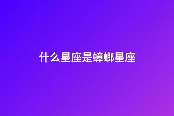 什么星座是蟑螂星座-第1張-星座運勢-玄機派
