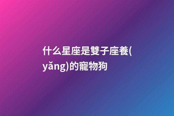 什么星座是雙子座養(yǎng)的寵物狗-第1張-星座運勢-玄機派