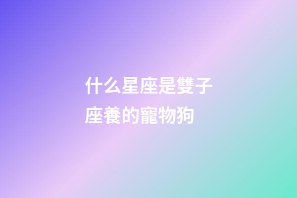 什么星座是雙子座養的寵物狗-第1張-星座運勢-玄機派