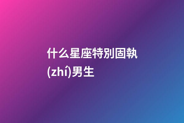 什么星座特別固執(zhí)男生-第1張-星座運(yùn)勢-玄機(jī)派